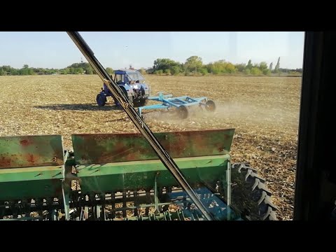 Видео: Сев озимого ячменя 2020. Сев в сухую почву. Норма высева 130 кг.