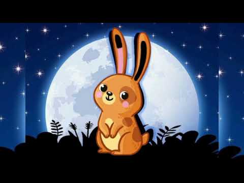 Видео: ДИДАКТИЧНА ГРА "ВПІЗНАЙ ЧИЯ ТІНЬ? ДИКІ ТВАРИНИ🐵🐯🦊