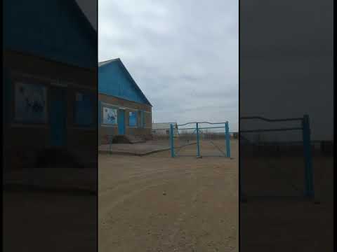 Видео: Шығанақ ауылы. Сарысу ауданы. 2019