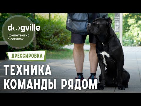 Видео: Команда «‎Рядом»‎ — Техника выполнения