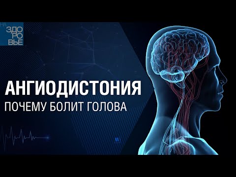 Видео: Ангиодистония. Почему болит голова. На здоровье 20.11.2021