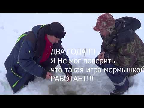 Видео: Как поймать окуня в глухозимье? на что и как клюет окунь в глухозимье?