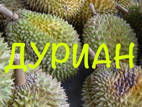 Видео: ❗️БАЛИ│ПРОБУЕМ ДУРИАН│САМЫЙ ВОНЮЧИЙ ФРУКТ НА ЗЕМЛЕ❓