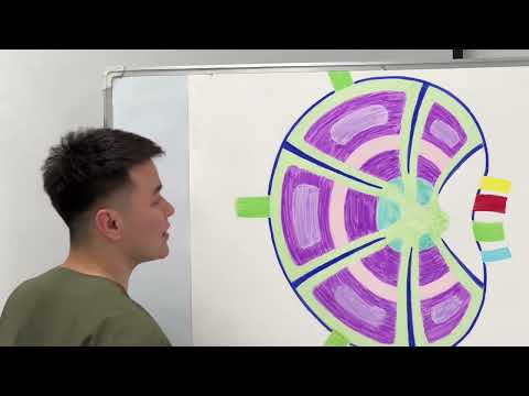 Видео: Лимфа түйіні