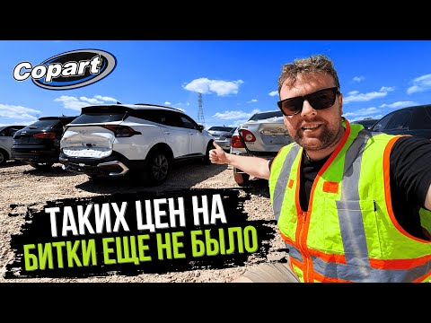 Видео: Свежий Обзор Битых Авто на Закрытом Аукционе в США! Выкупим и Доставим в вашу Страну!