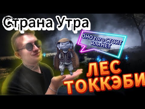 Видео: Разбираю спот ЛЕС ТОККЭБИ в Black Desert ( Стоит оно того или НЕТ).