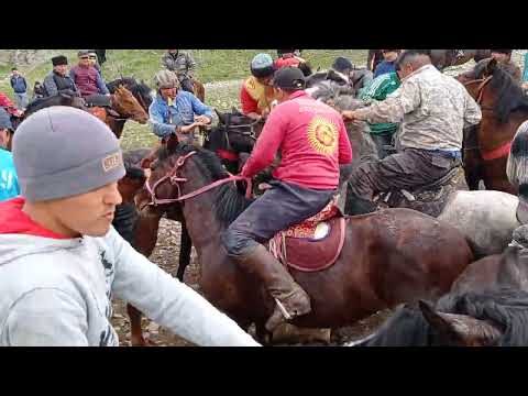 Видео: Лейлек р, н Кулунду айылнда улак 21-03-2023.