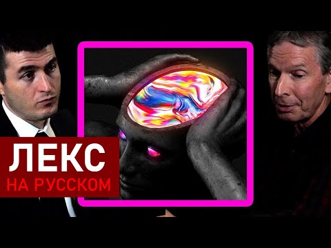 Видео: Приводит ли сомнение в реальности к безумию? | Дональд Хоффман и Лекс Фридман