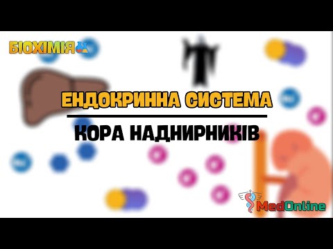 Видео: Біохімія Гормонів | Альдостерон та Кортизол