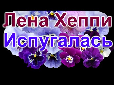 Видео: Лена Хеппи. Приключения молодят
