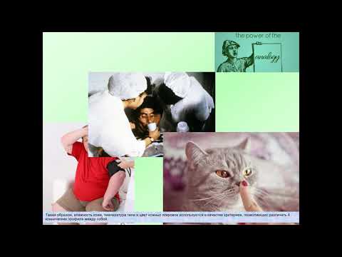 Видео: Сердечная недостаточность Кошкина Е.В.