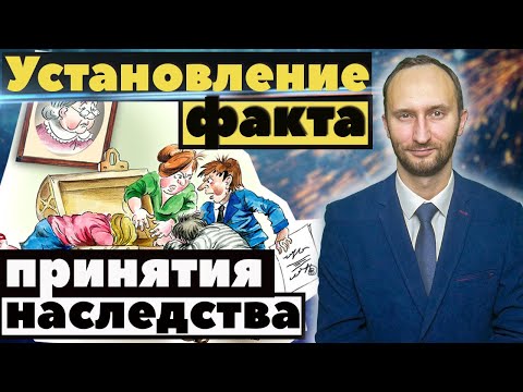 Видео: Фактическое принятие наследства | Установление факта принятия наследства через суд
