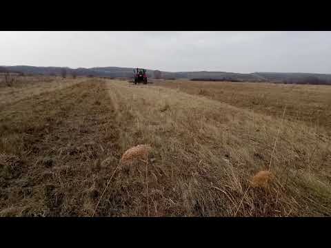 Видео: Расчищаем Заброшенный Луг под Будущий Сенокос