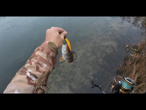 Видео: "На палку" Когда рыбачит осень, а не рыбак