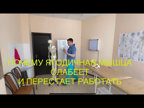 Видео: Как тренировать ягодичную мышцу во время ходьбы. Почему слабеет большая ягодичная мышца?