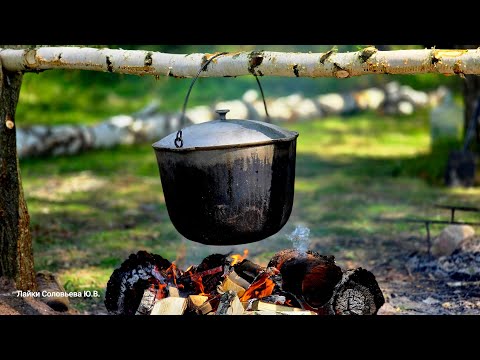 Видео: Шурпа из дичи 