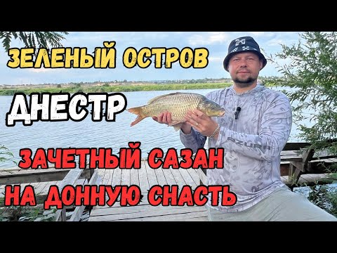 Видео: Зеленый остров, Днестр 42 км. Зачетный сазан на донную снасть. #рыбалка #днестр