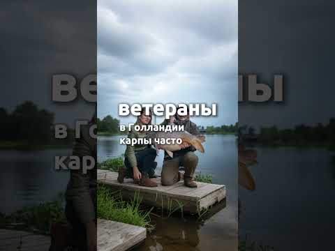 Видео: Рыбалка на карпа 30+кг в Голландии. Где ловить?
