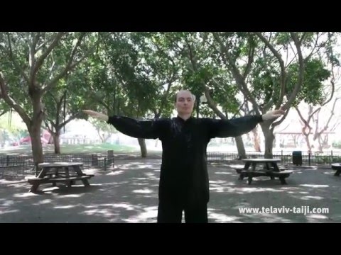 Видео: Дмитрий Дейч: разминка для занятия тайцзицюань (часть 3)