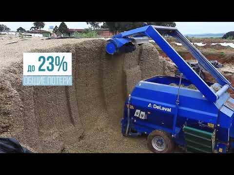 Видео: Передовой опыт производства силоса