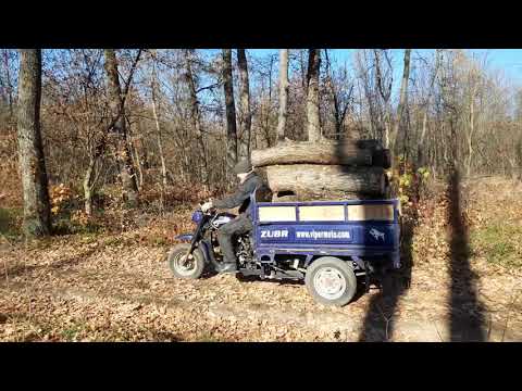 Видео: Муравей 4т вайпер зубр грузовой трицикл 2 куба дровы!