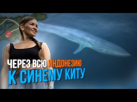 Видео: 2000км за синим китом: 5 островов, 4 парома, байки, джунгли и вулканы|Индонезия без фильтров. Часть1
