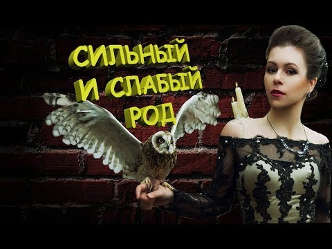 Видео: Сильный и слабый Род