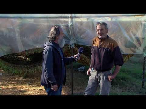 Видео: МОЕ СЕЛО - Село Бач со Перо Цаца (дел 2)