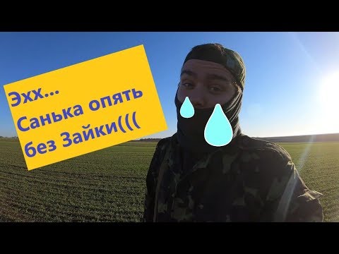 Видео: ОХОТА НА ЗАЙЦА! Зайца видно только в бинокль!! Очередная неудачная охота! Что же я делаю не так??