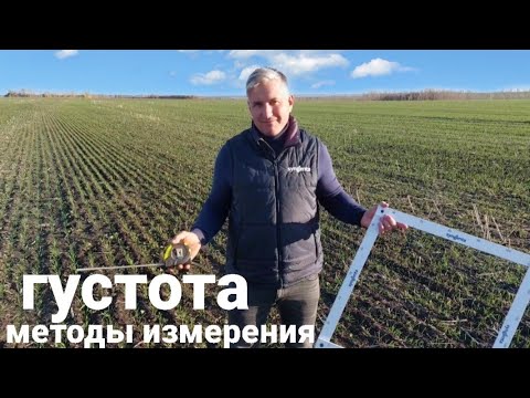 Видео: Густота пшеницы-методы измерения