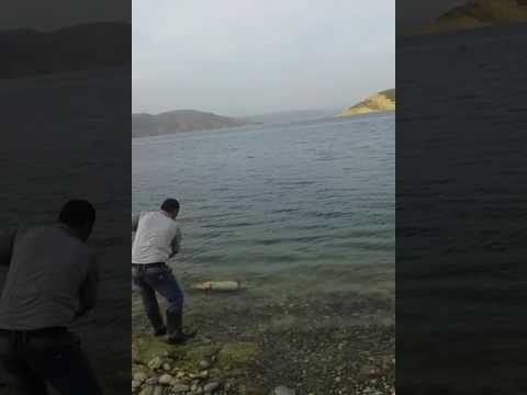 Видео: Правда айылы.