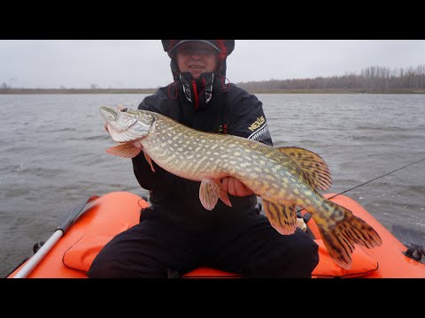 Видео: Лютые щуки в жесткий ветер
