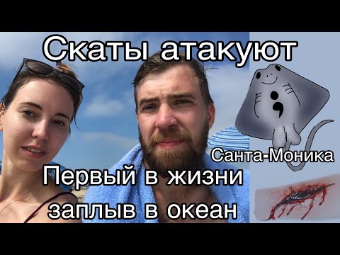 Видео: СКАТЫ В США. СКОЛЬКО НАМ СТОИЛО ПОКУПАТЬСЯ В ОКЕАНЕ?