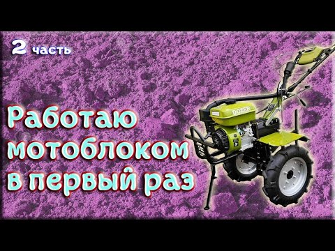 Видео: Первый раз в жизни работаю мотоблоком. Вспашка земли.DOZER, FORTE, ДТЗ, Кентавр.