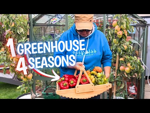 Видео: Как выращивать растения круглый год в небольшой теплице?
