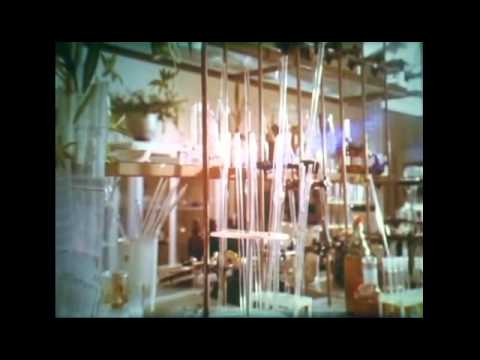 Видео: Старый красноярск середина 1990 х годов