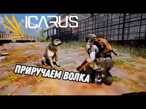 Видео: Как приручить волка (гайд) - ICARUS