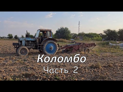 Видео: Самый лучший сорт картофеля в СНГ. Часть 2