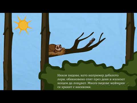 Видео: Преразказ на текст от енциклопедия - Български език 3 клас | academico