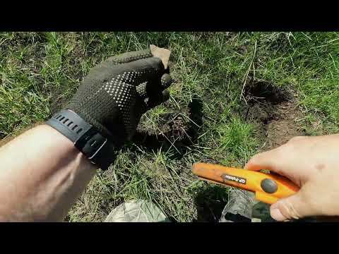 Видео: В поисках сокровищ, ищем клад. Ну и просто отдыхаем, гуляя по полям.