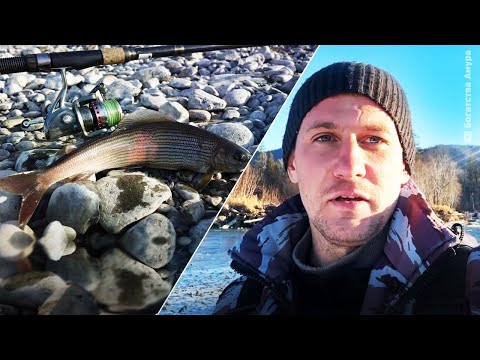 Видео: Горная рыбалка на хариуса поздней осенью. Ловля хариуса на мушку. Рыбалка в тайге.