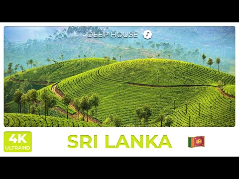 Видео: 🌴 Шри-Ланка с дрона 4K | Расслабляющая музыка и потрясающие пейзажи 🏝️