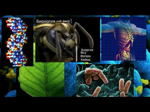Видео: Биологияға шолу | Қазақ Хан Академиясы
