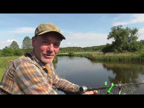 Видео: Свислочь. Июнь. Фидер. В этой ямке есть карпы... Опять разогнутый крючок. Рыбалка в Беларуси.