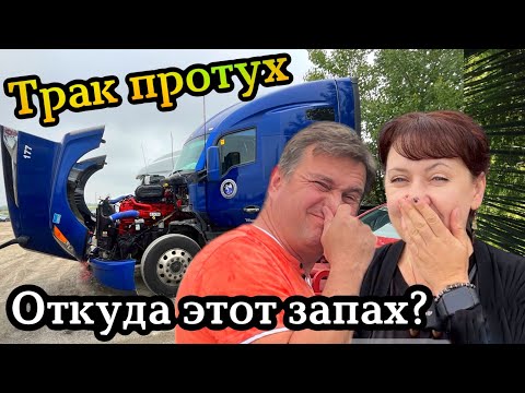 Видео: В траке Kenworth появился запах тухлятины🫣Дальнобой США🇺🇸 Канада🇨🇦