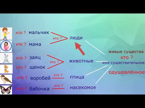 Видео: Одушевлённые и неодушевлённые имена существительные