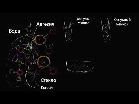 Видео: Капиллярный эффект.Мениск (видео 4) | Силы межмолекулярного взаимодействия  | Химия