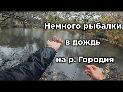 Видео: Немного московской рыбалки на р. Городня