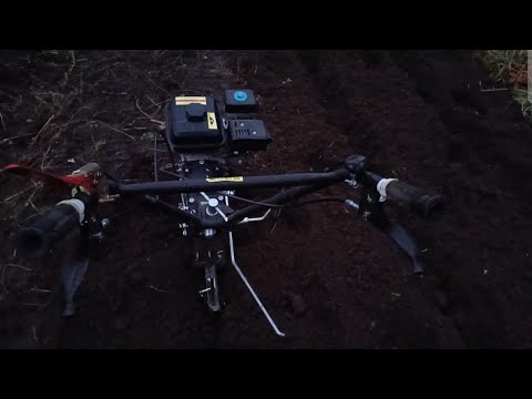 Видео: Пора сажать чеснок.