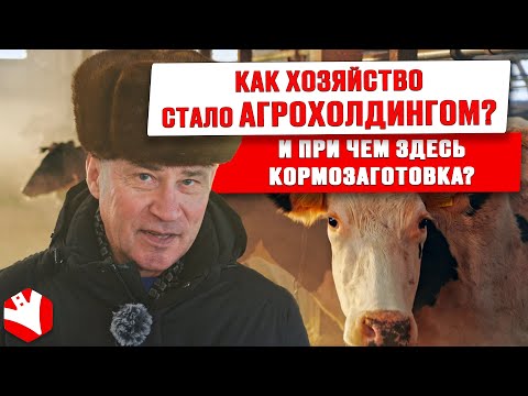 Видео: Как хозяйство стало агрохолдингом и при чем тут кормозаготовка? | Заготовка кормов